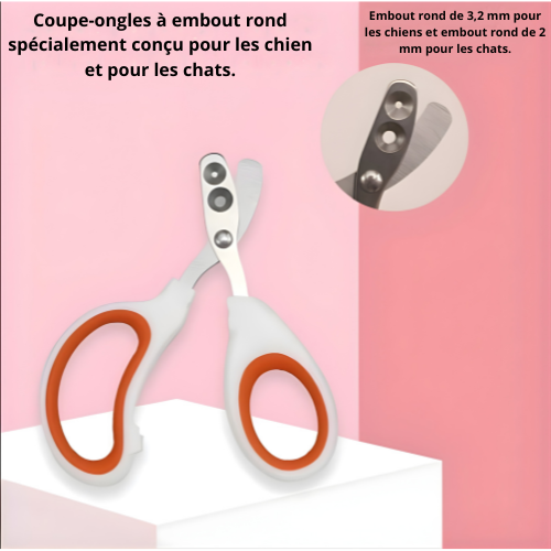 Coupe Griffe Pro Safe pour Chats