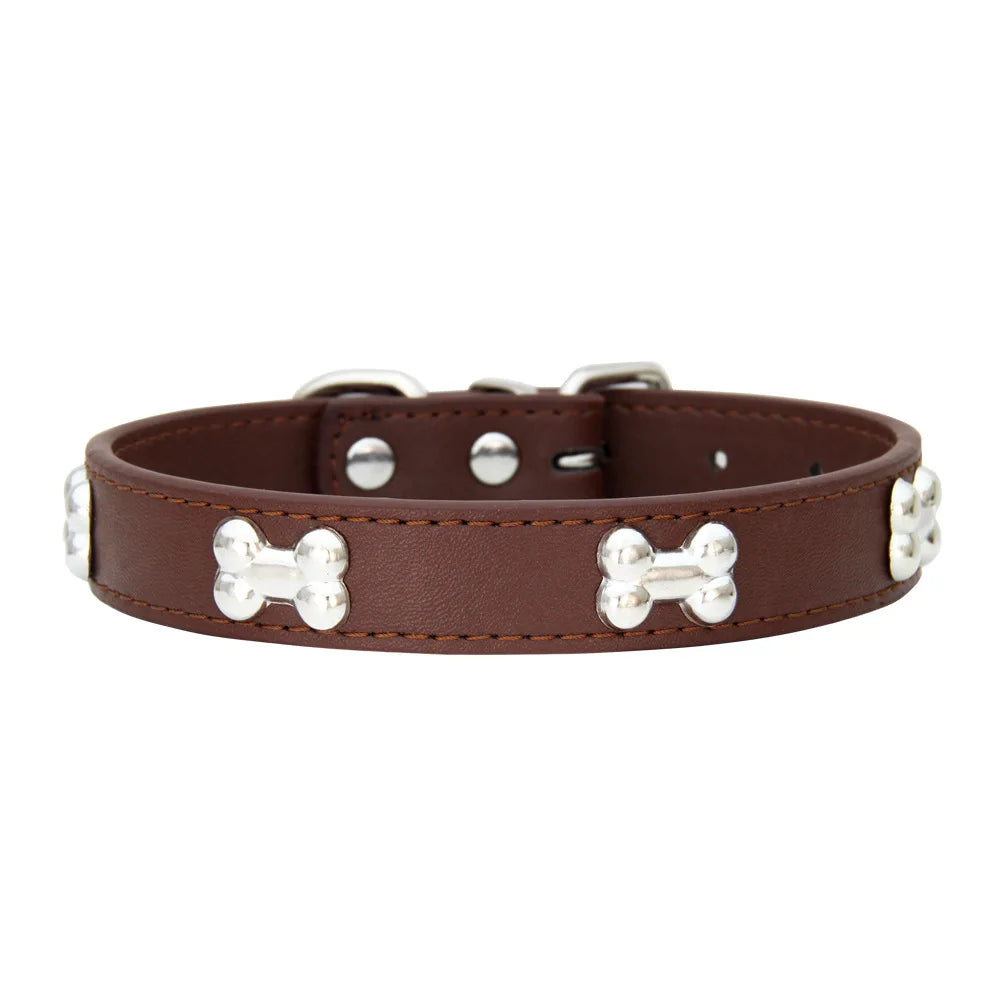 Collier en Cuir Coloré pour Chien & Chiot