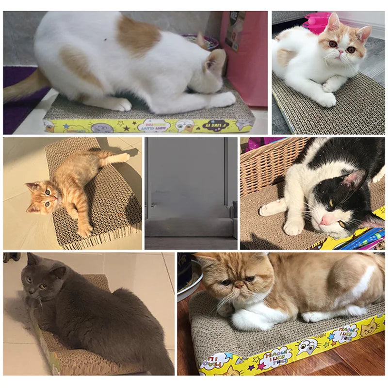 Grattoir Durable en Carton pour Chat