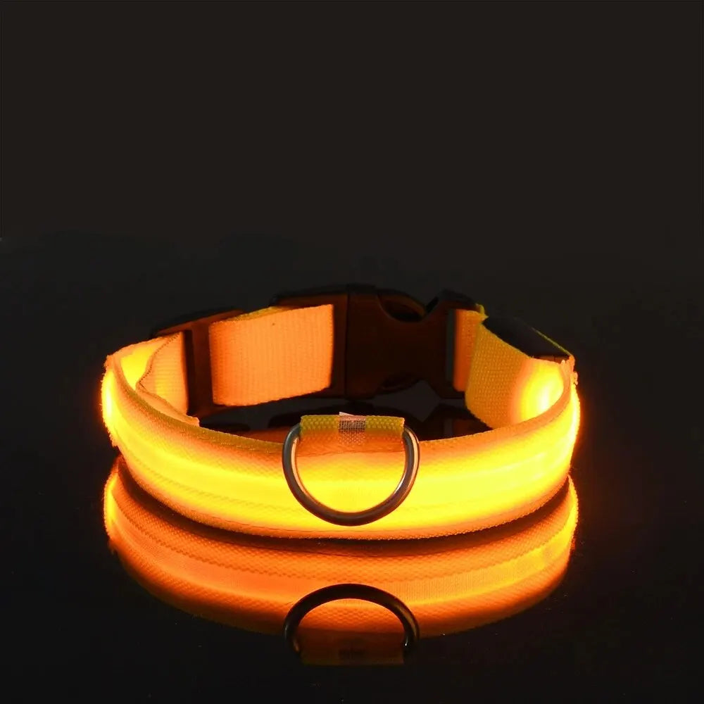 Collier de Sécurité LED pour Chien