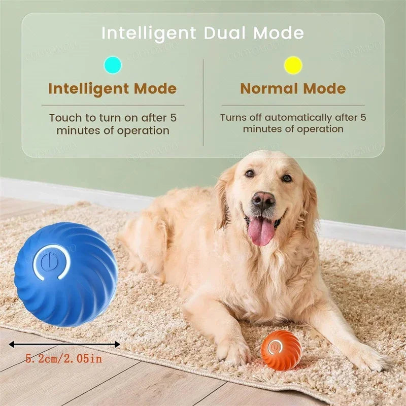 Balle Intelligente pour Animaux – Mouvements Automatiques & Rechargeable