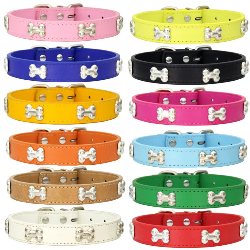 Collier en Cuir Coloré pour Chien & Chiot