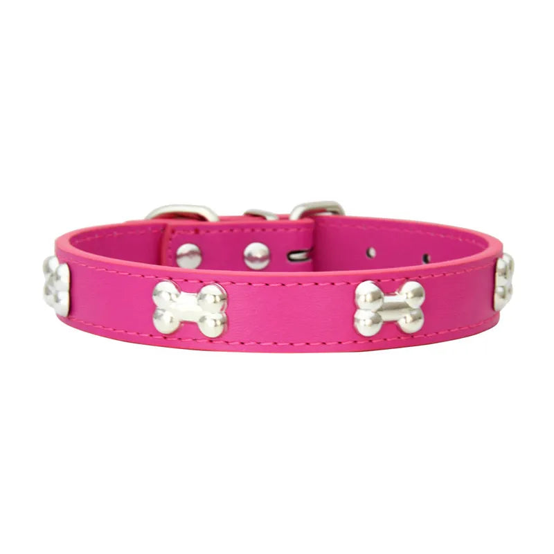 Collier en Cuir Coloré pour Chien & Chiot
