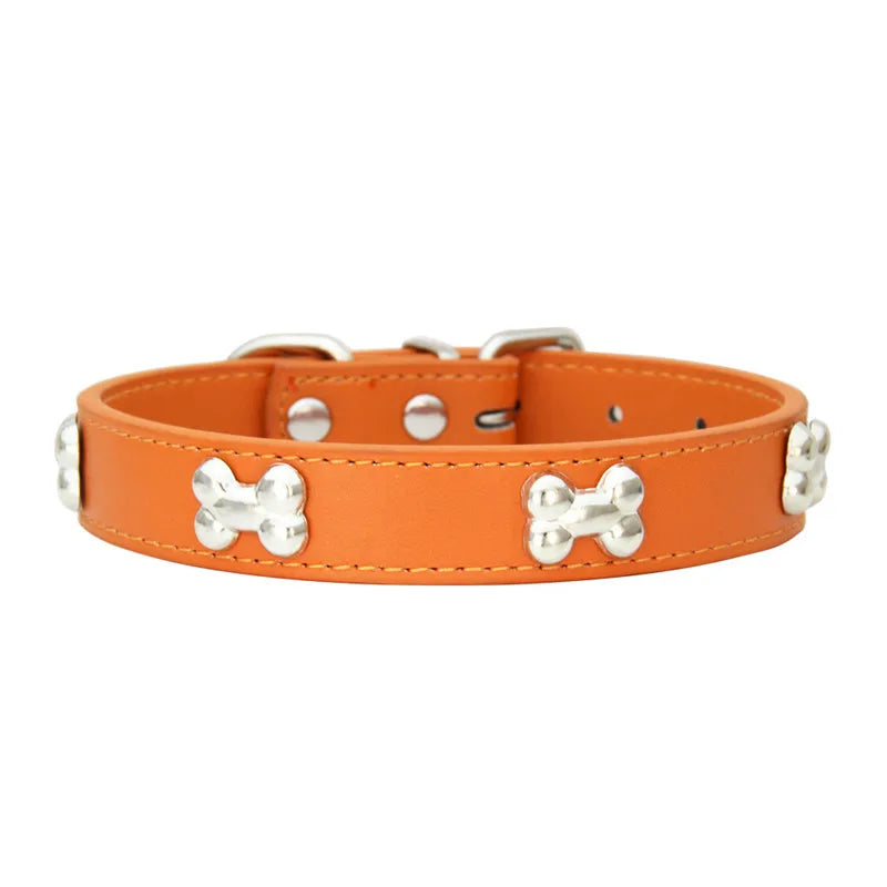 Collier en Cuir Coloré pour Chien & Chiot