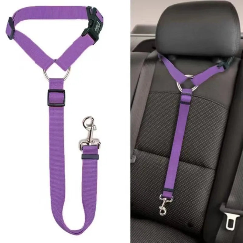 Ceinture de Sécurité Voiture pour Chien
