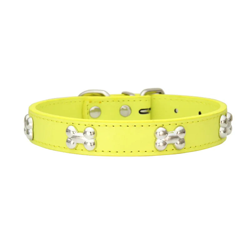 Collier en Cuir Coloré pour Chien & Chiot