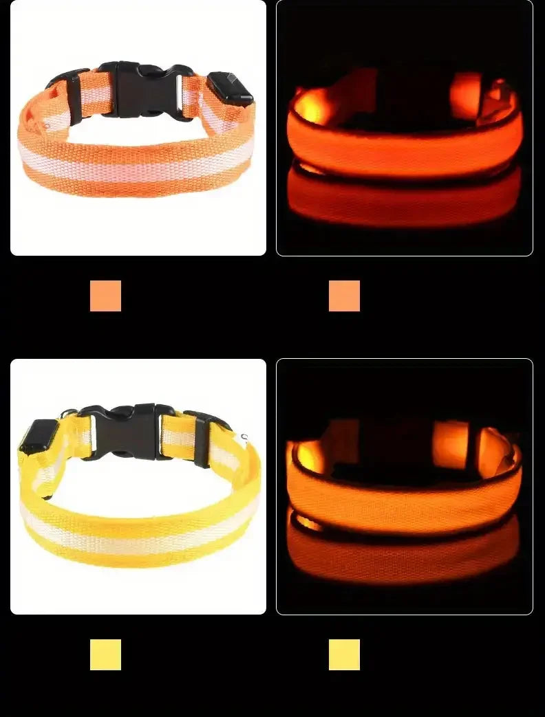 Collier de Sécurité LED pour Chien