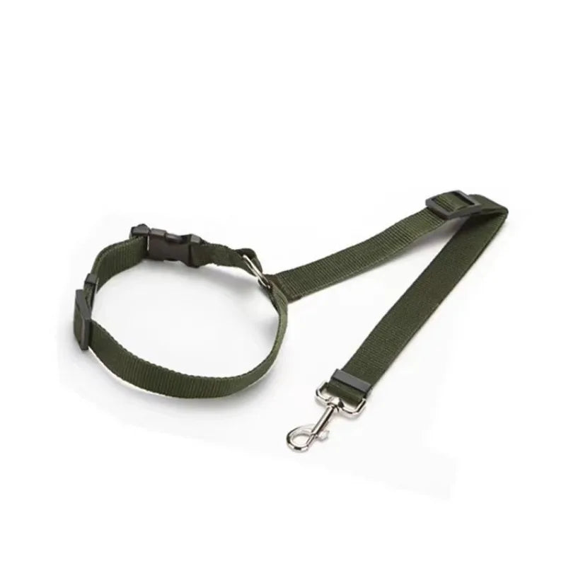 Ceinture de Sécurité Voiture pour Chien