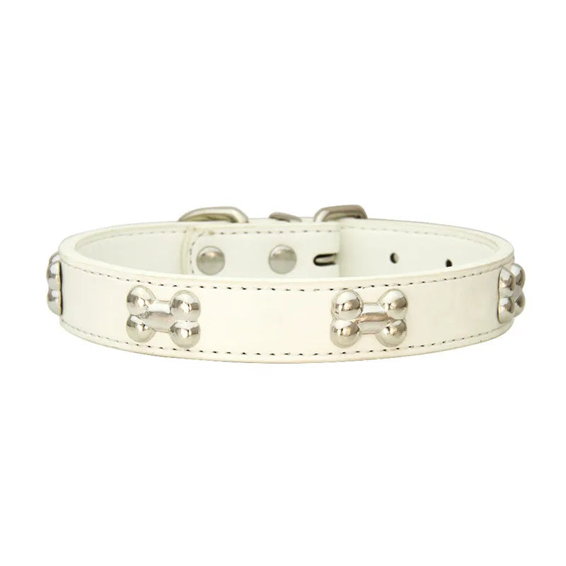 Collier en Cuir Coloré pour Chien & Chiot