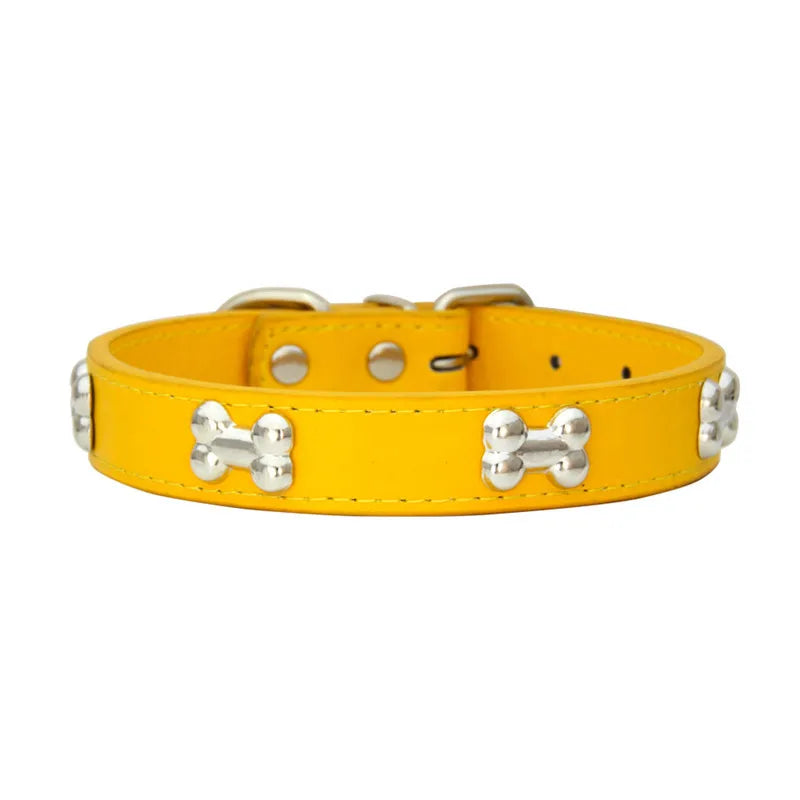 Collier en Cuir Coloré pour Chien & Chiot
