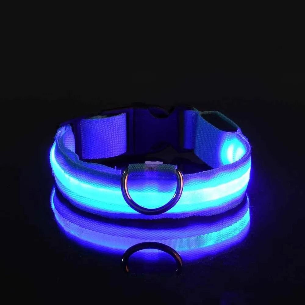 Collier de Sécurité LED pour Chien