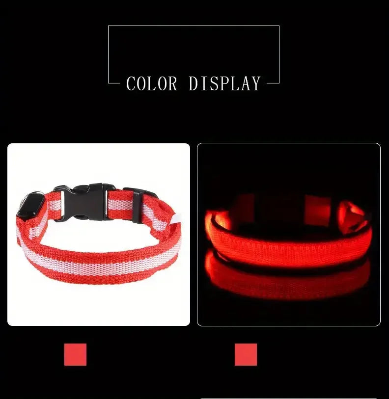 Collier de Sécurité LED pour Chien