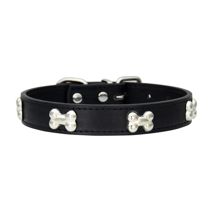 Collier en Cuir Coloré pour Chien & Chiot