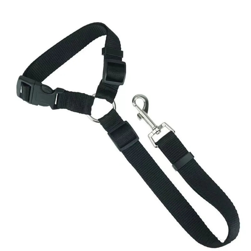 Ceinture de Sécurité Voiture pour Chien
