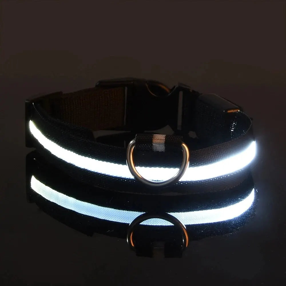Collier de Sécurité LED pour Chien