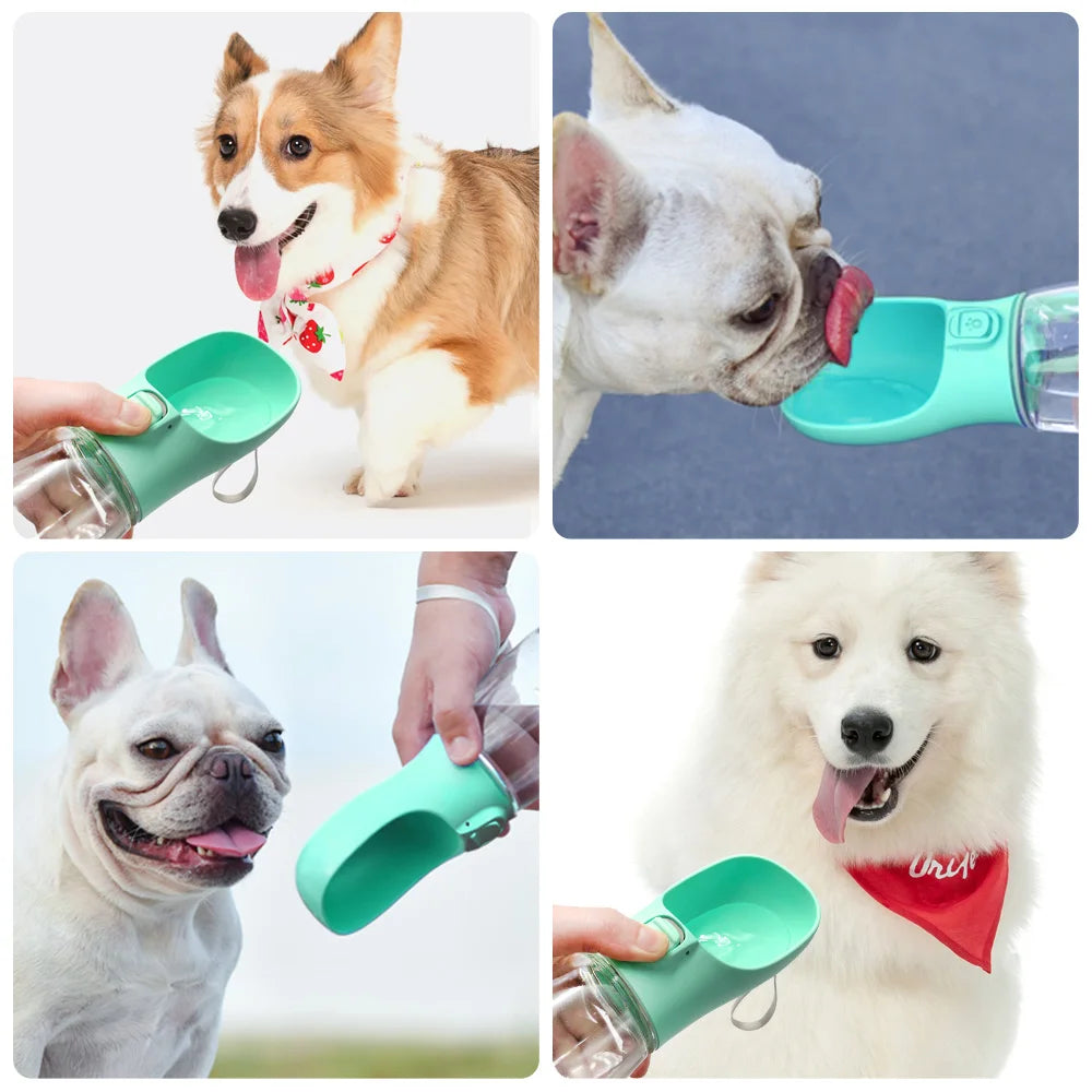 Bouteille d’Eau Portable pour Chien – Gourde de Voyage Anti-Fuite avec Bol Intégré