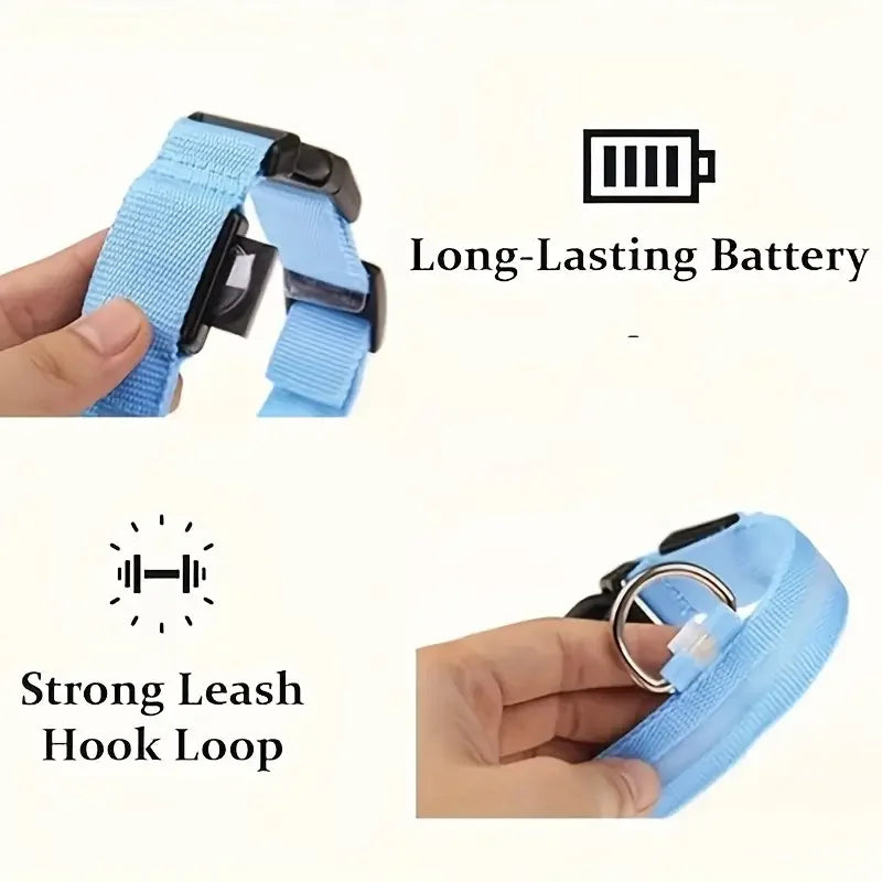 Collier de Sécurité LED pour Chien
