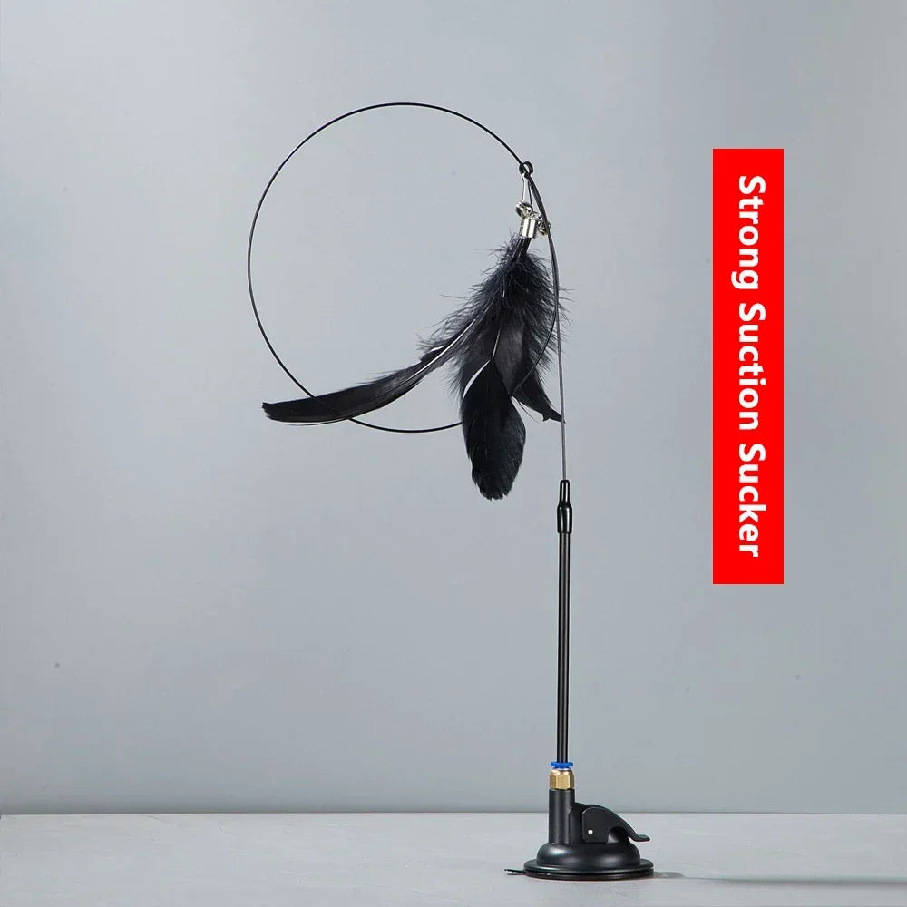 Jouet de Chasse pour Chat