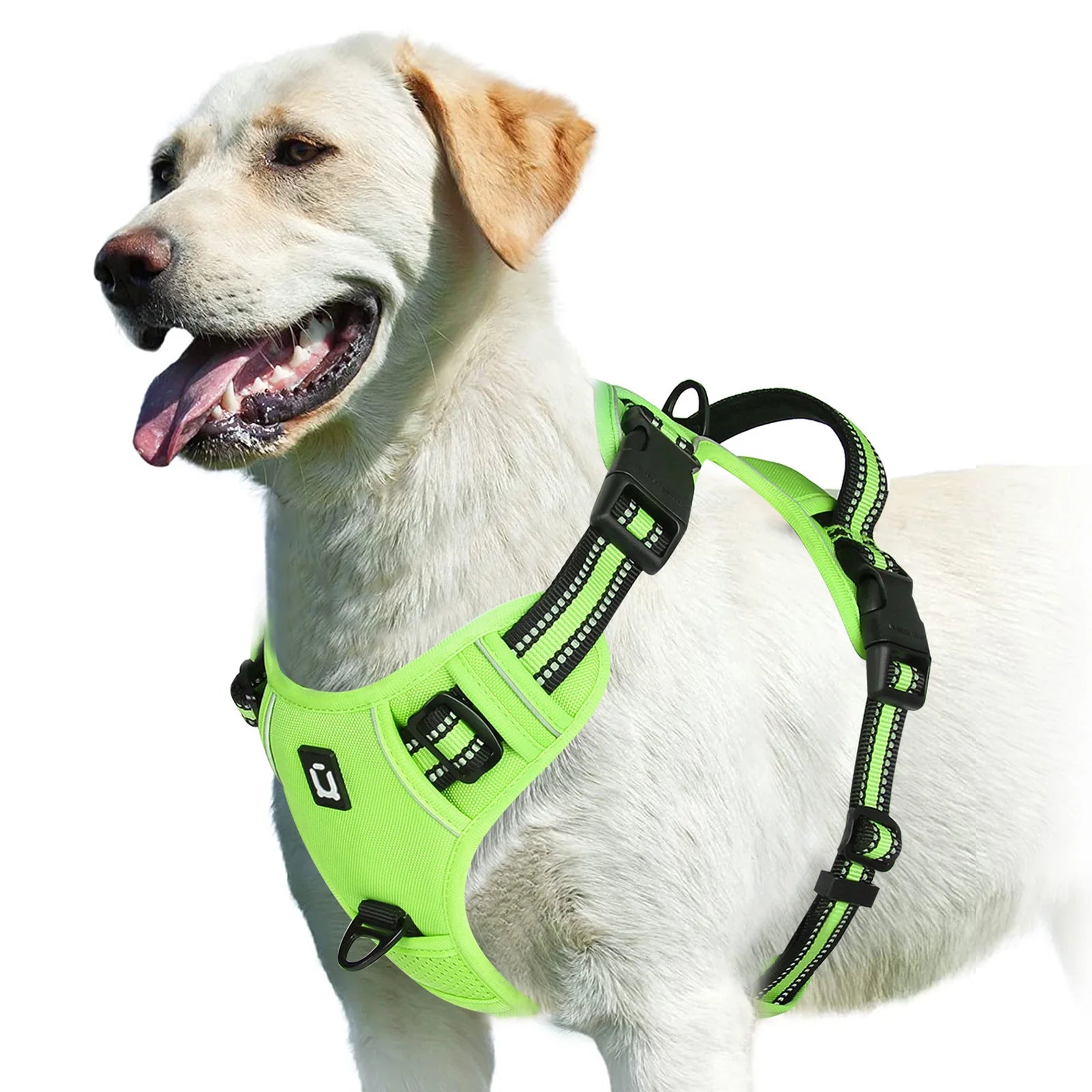 Harnais Anti-Traction Confort pour Chien avec Poignée