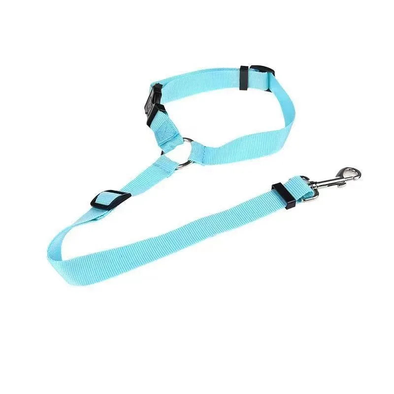Ceinture de Sécurité Voiture pour Chien