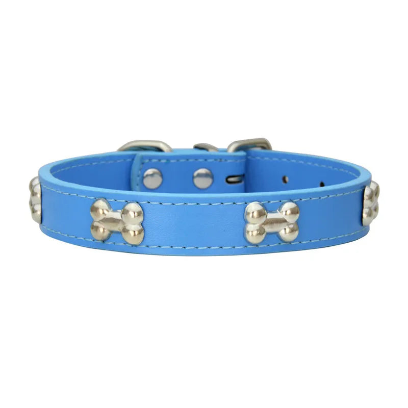 Collier en Cuir Coloré pour Chien & Chiot