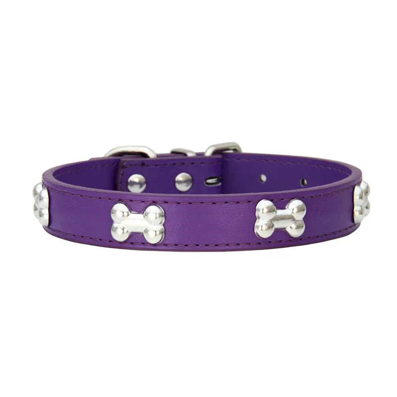 Collier en Cuir Coloré pour Chien & Chiot