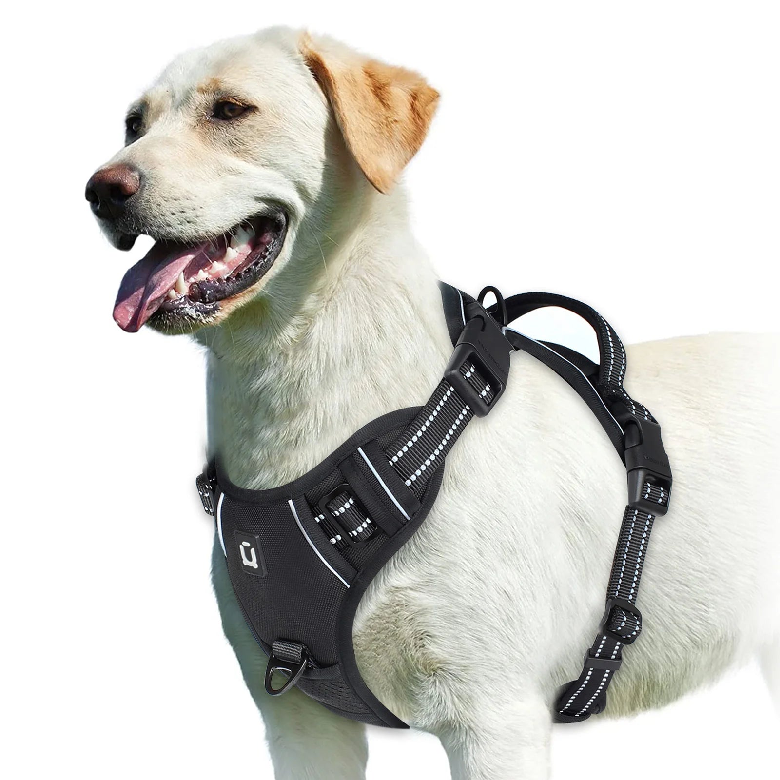 Harnais Anti-Traction Confort pour Chien avec Poignée