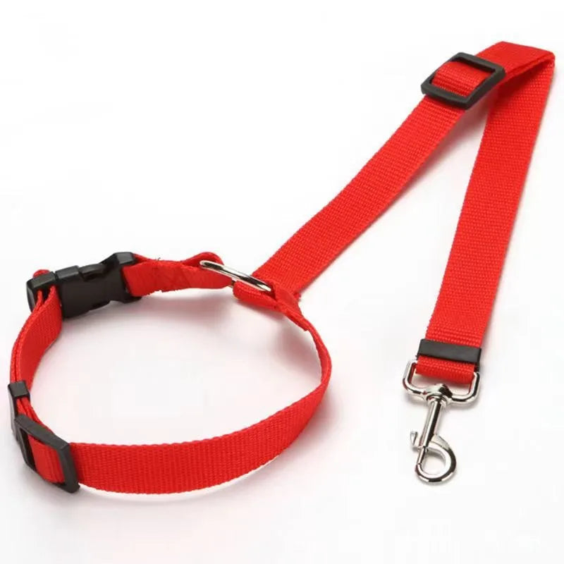 Ceinture de Sécurité Voiture pour Chien