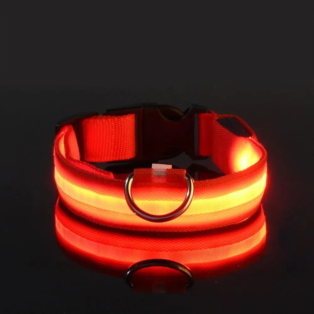 Collier de Sécurité LED pour Chien