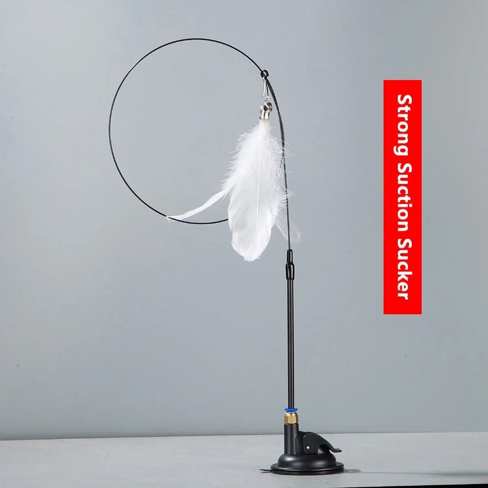 Jouet de Chasse pour Chat