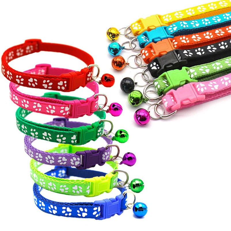 Collier Coloré pour Chat avec Clochette