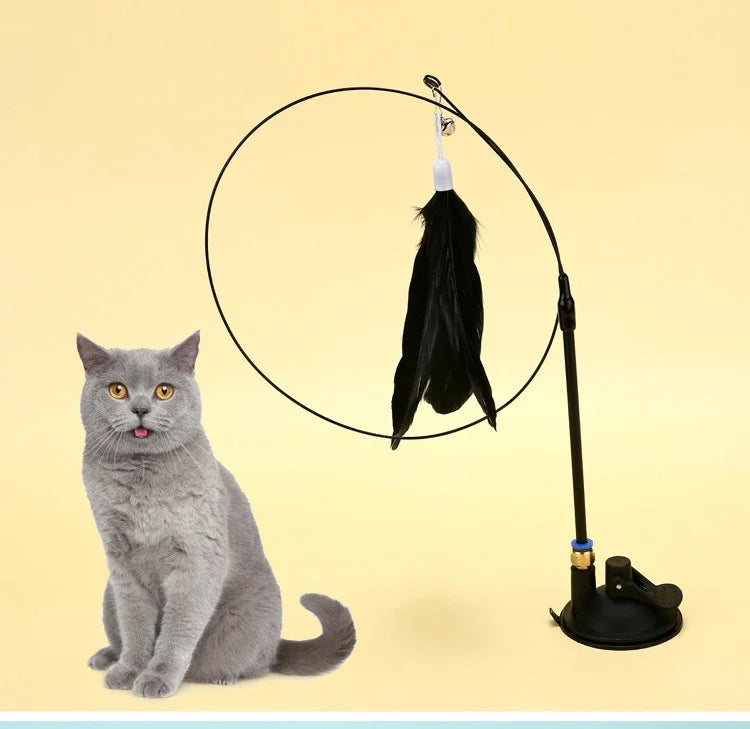 Jouet de Chasse pour Chat