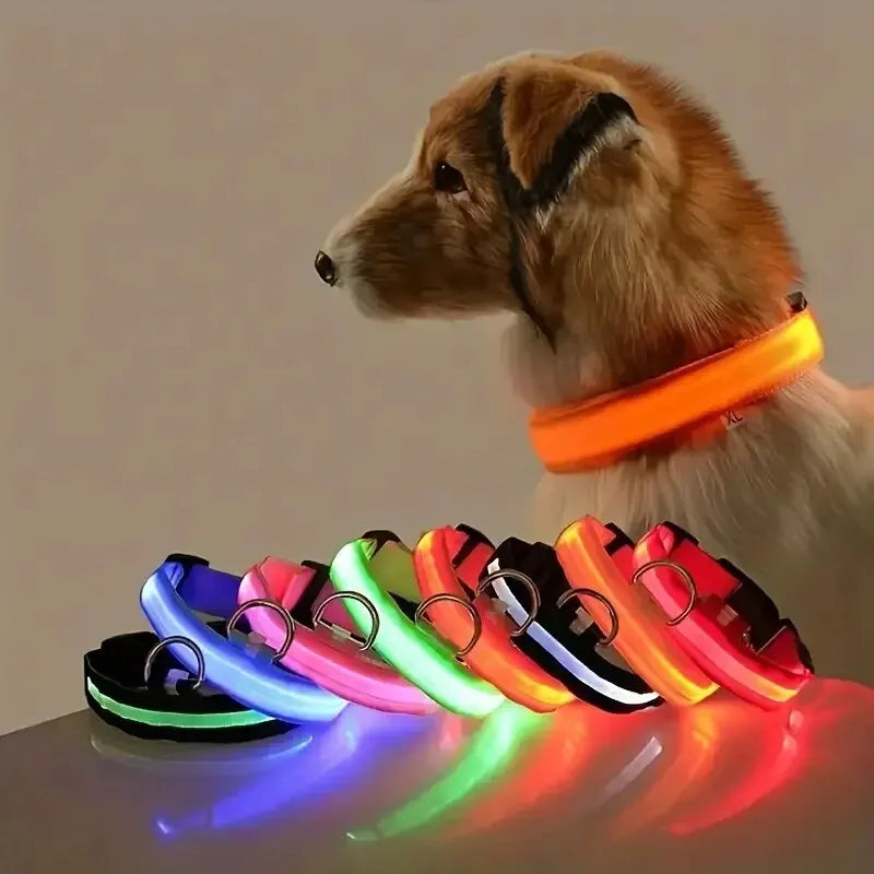 Collier de Sécurité LED pour Chien