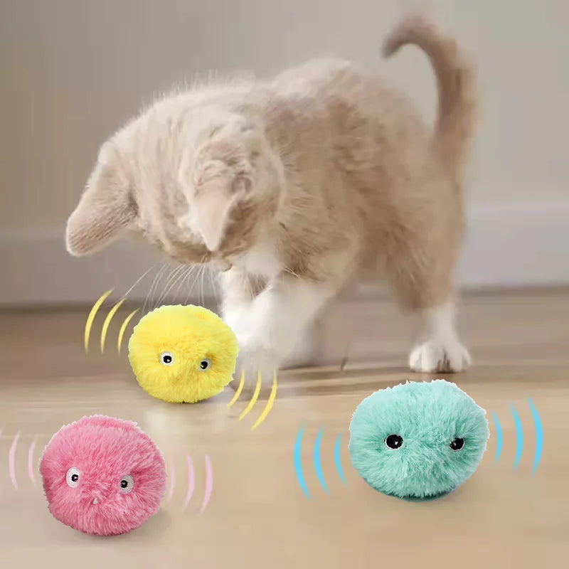Balle Interactive Intelligente pour Chat