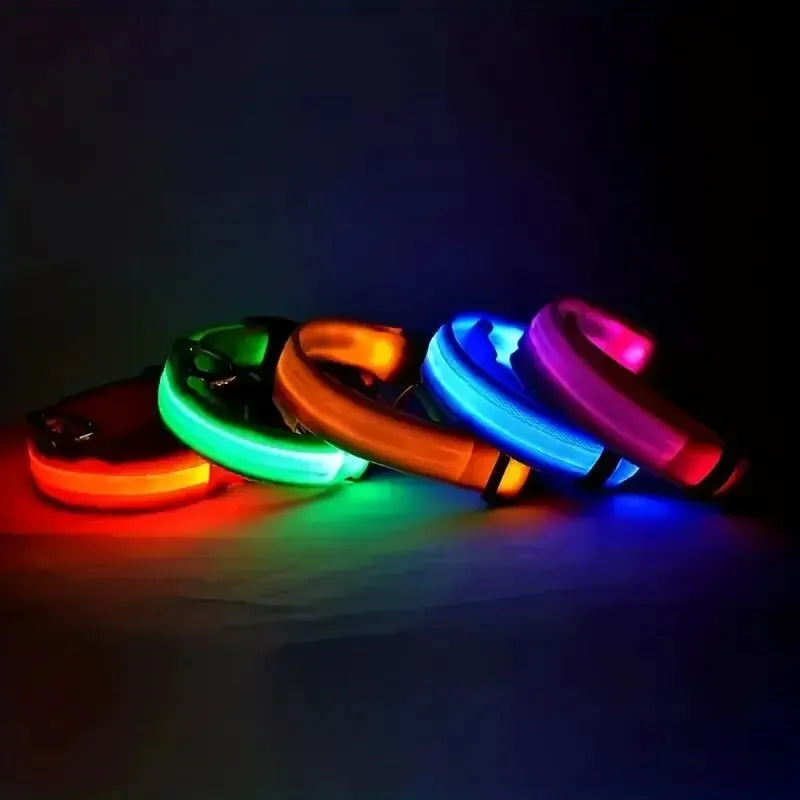 Collier de Sécurité LED pour Chien