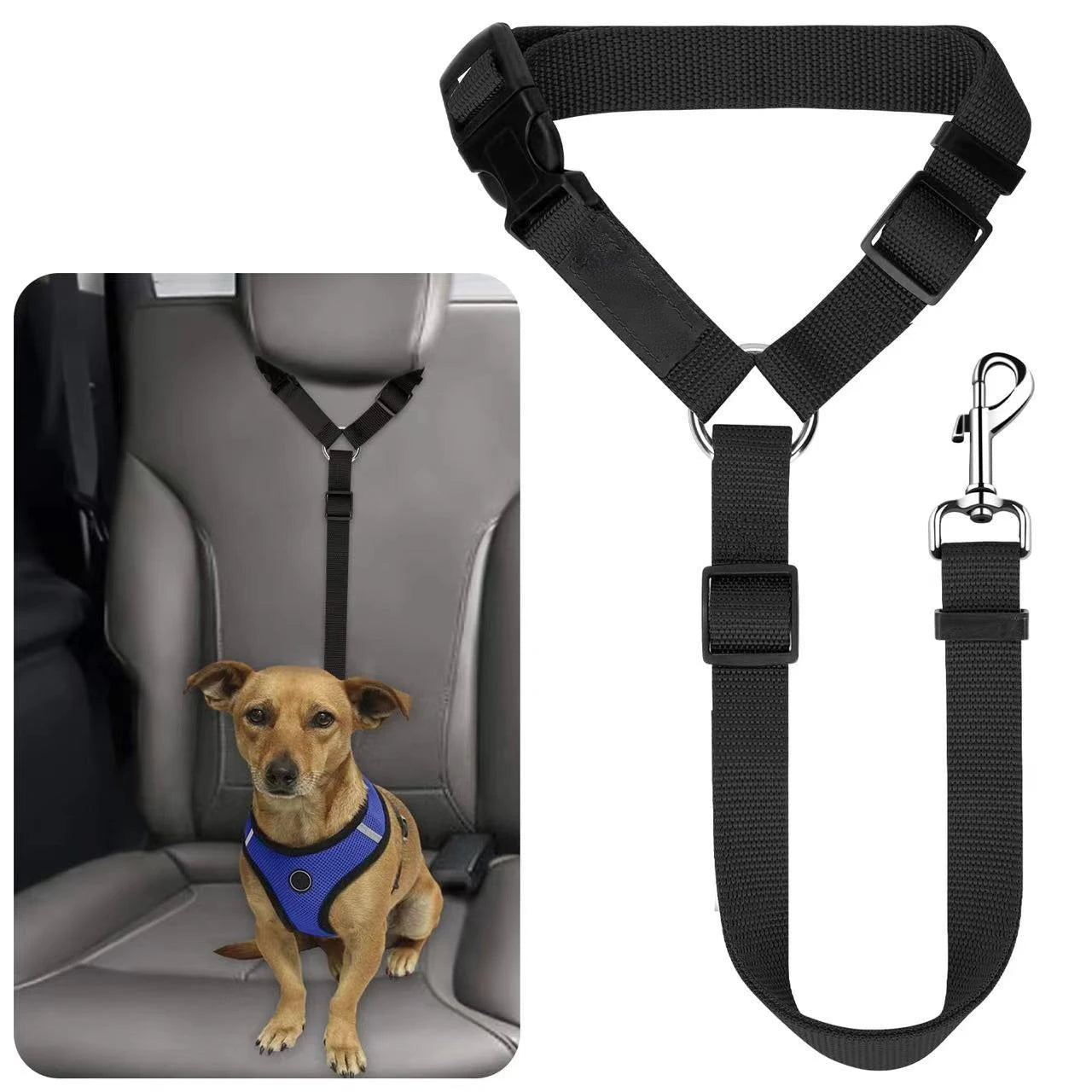 Ceinture de Sécurité Voiture pour Chien