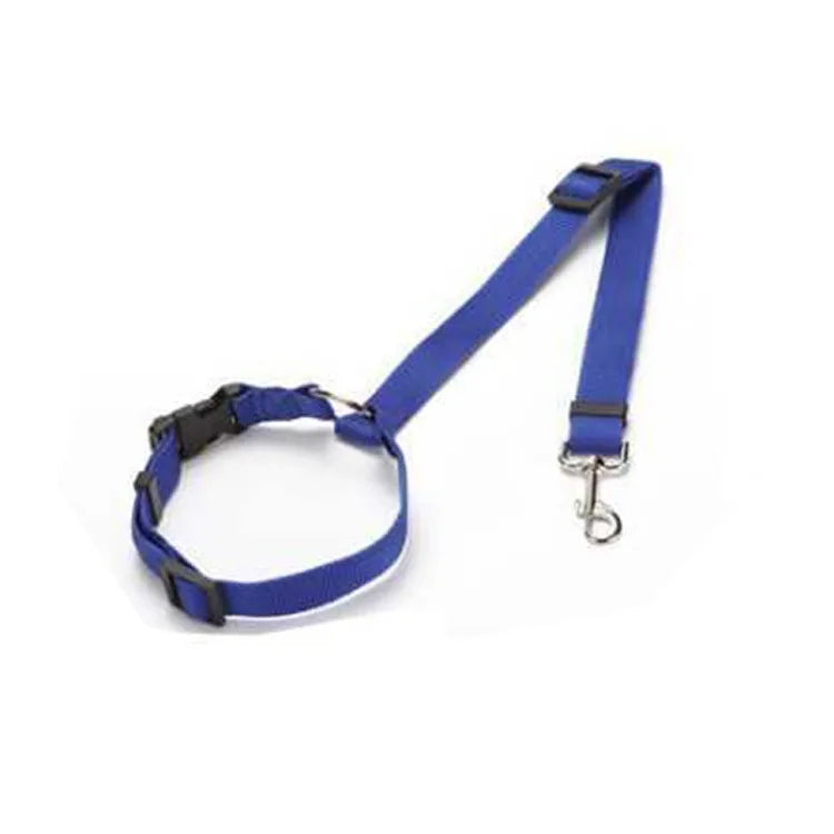 Ceinture de Sécurité Voiture pour Chien