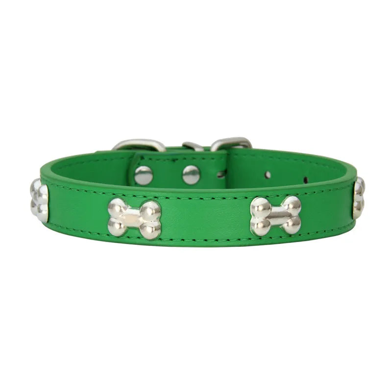 Collier en Cuir Coloré pour Chien & Chiot